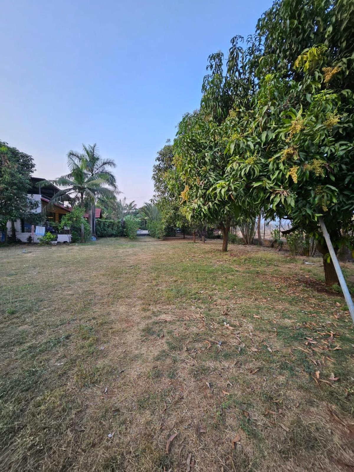 Patil'S Greenwoods Farmhouse Navi Mumbai Eksteriør billede